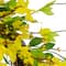 20" Yellow Forsythia & Leaves Artificial Spring Floral Wreath